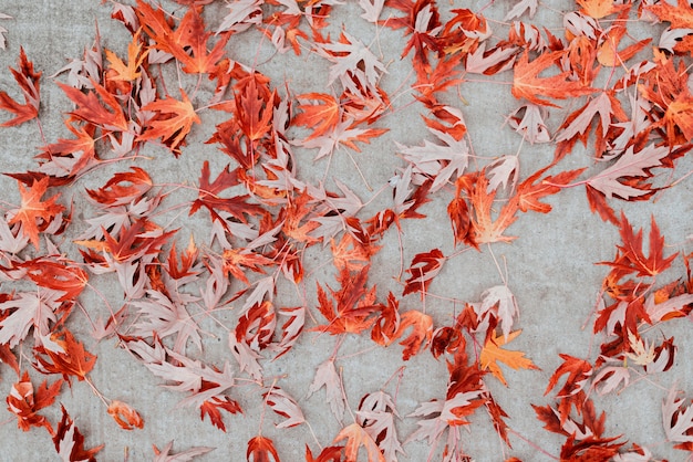 tavolo con foglie di autunno arancione su cemento grigio