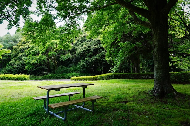 Tavolo da picnic nel parco