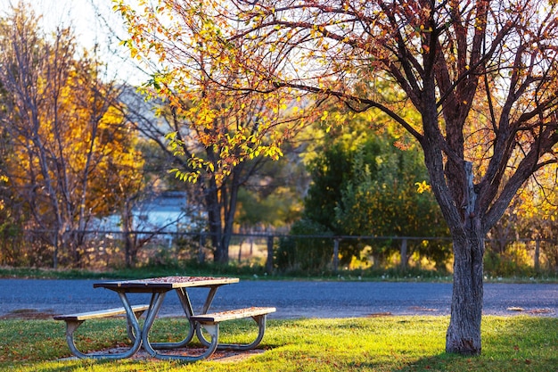 Tavolo da picnic sull'erba