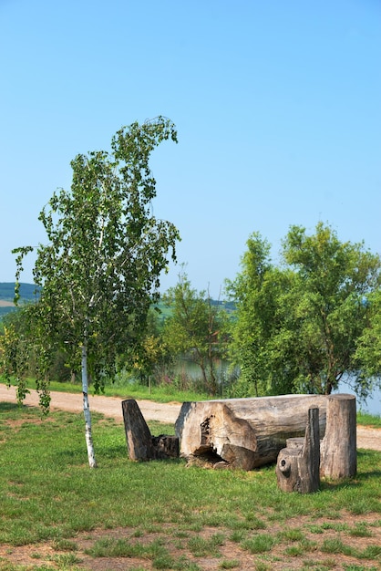 Tavolo e sedia in legno in giardino Mobili da giardino realizzati con tronchi di legno