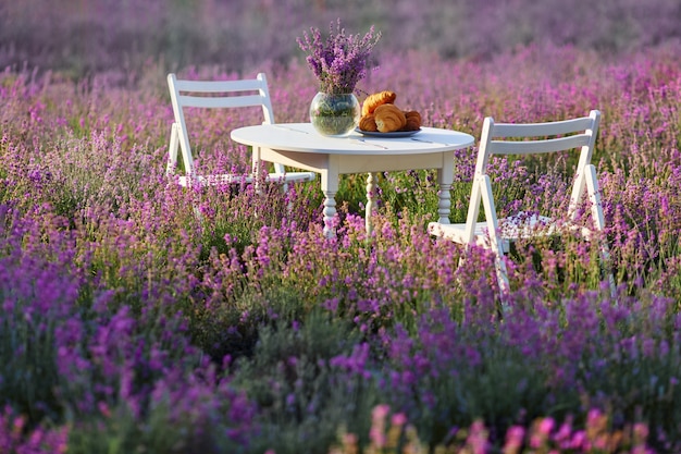 Tavolo e sedie decorati in campo di lavanda