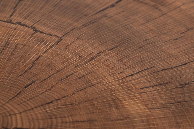tavolo fatto a mano in legno di olmo naturale isolato su sfondo bianco