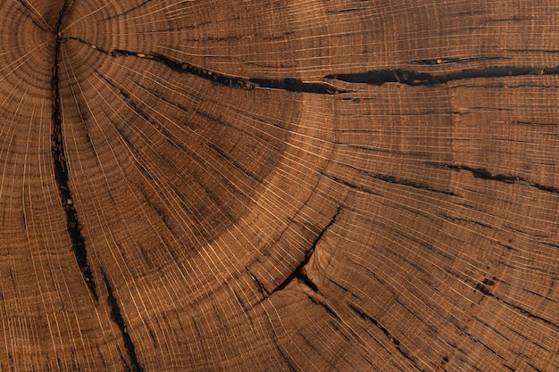 tavolo fatto a mano in legno di olmo naturale