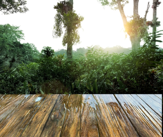 tavolo in legno bagnato e foresta