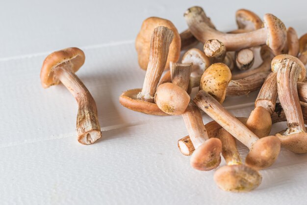 Tavolo in legno bianco con funghi di bosco autunnali sparsi. Funghi di bosco sul tavolo. Cucina vegetariana.