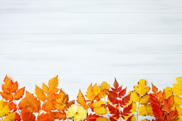 Tavolo in legno bianco decorato con foglie d'autunno