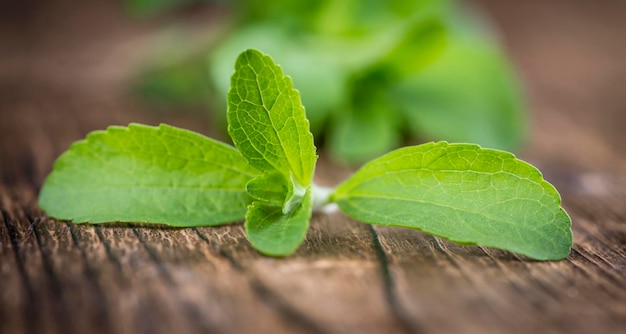 Tavolo in legno con Stevia lascia il fuoco selettivo