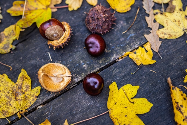 Tavolo in legno e foglie di castagne su sfondo sfocato autunno bokeh. Sfondo piatto astratto