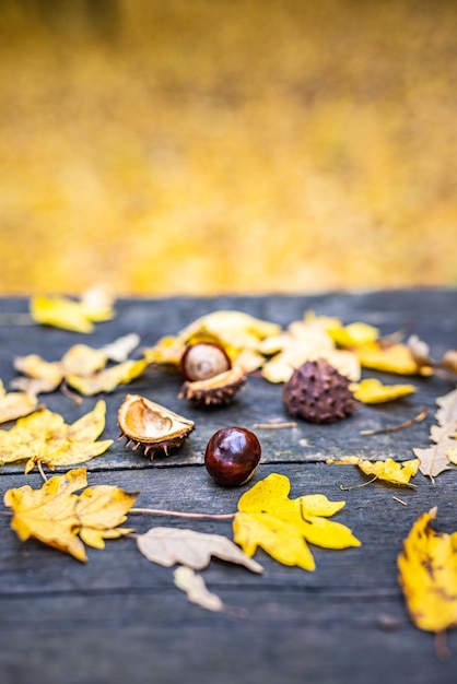 Tavolo in legno e foglie di castagne su sfondo sfocato autunno bokeh. Sfondo piatto astratto