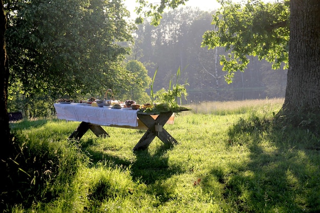 Tavolo in legno sotto le querce con cibo