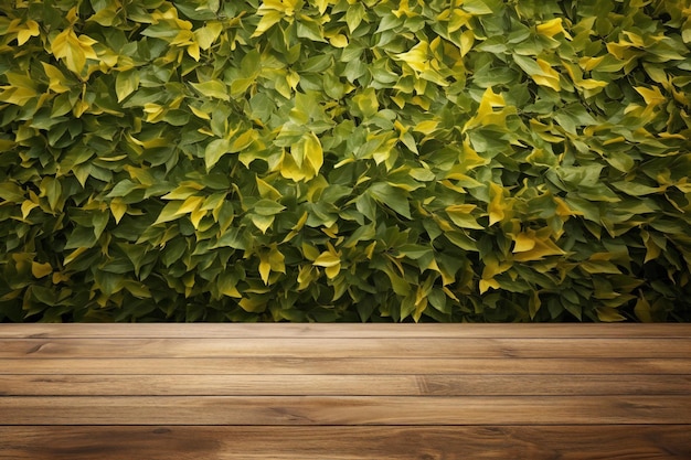 Tavolo in legno su foglie di edera verde sullo sfondo della parete per l'esposizione dei prodotti