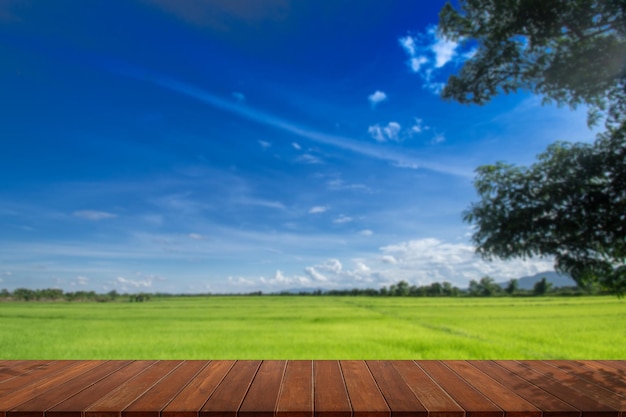 Tavolo in legno vuoto con campo di riso e cielo blu