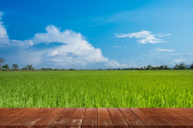 Tavolo in legno vuoto con campo di riso e cielo blu