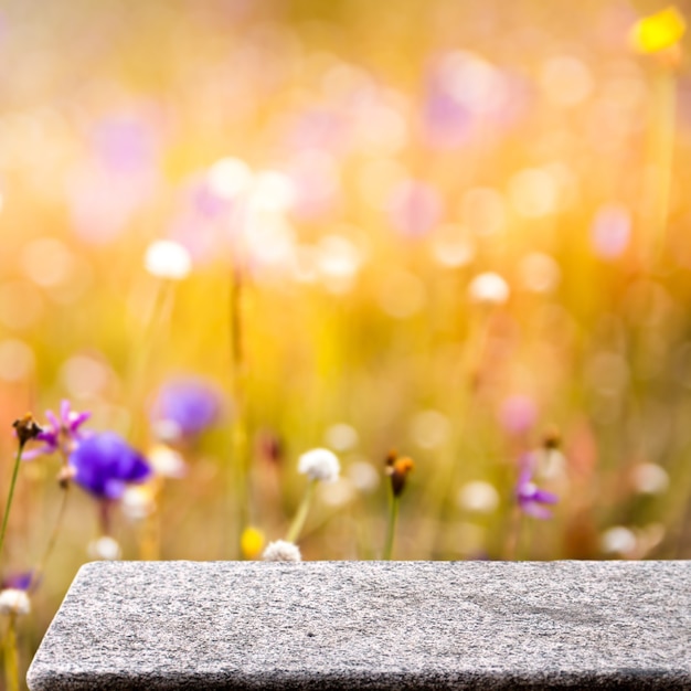 tavolo in pietra nel giardino esterno giallo natura luce solare piazza display sfondo