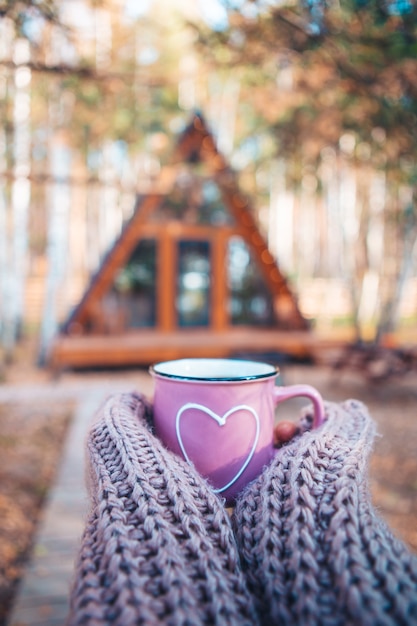 Tazza calda di tè che scalda le mani della donna in maglione di lana su priorità bassa della casa accogliente al giorno di autunno