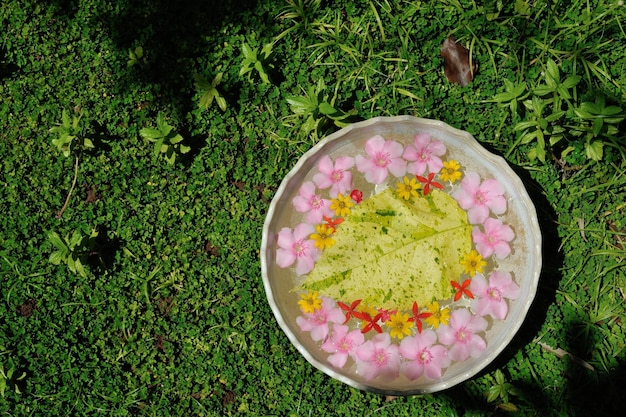 tazza d'acqua con bellissimi fiori, una varietà di colori di sfondo nel centro benessere e bellezza termale