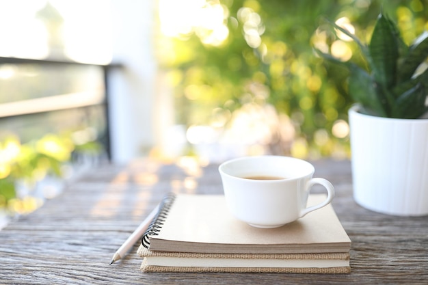 Tazza da caffè bianca e mini vaso per piante serpente Hahnii e quaderno kraft