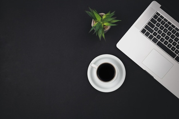 Tazza da caffè portatile e pianta da ufficio su sfondo nero vista dall'alto