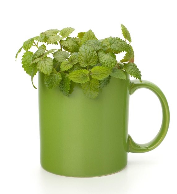 Tazza da tè alla menta piperita