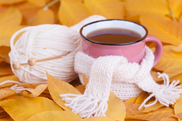 Tazza della composizione in autunno di tè avvolta in una sciarpa Concetto stagionale di natura morta del tè di mattina