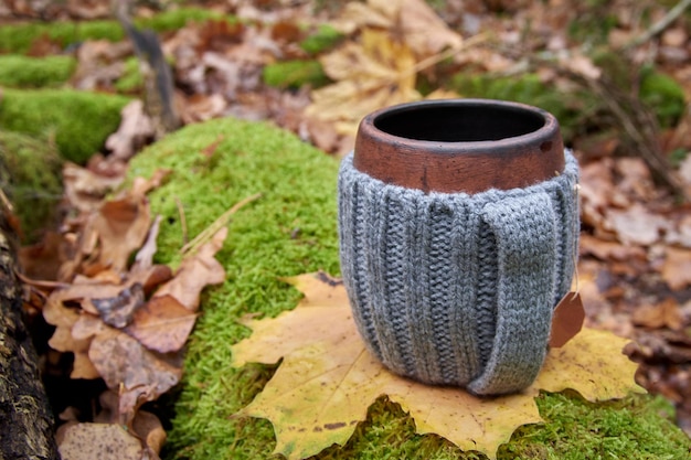 Tazza di argilla con rivestimento in maglia di lana Vapore dalla tazza sullo sfondo della foresta autunnale e della luce solare da vicino