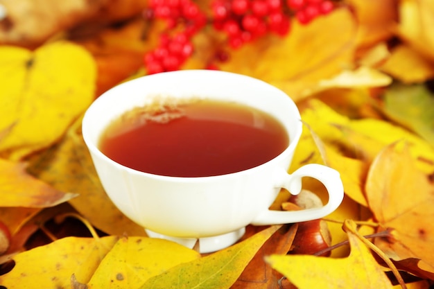 Tazza di bevanda calda su sfondo di foglie gialle