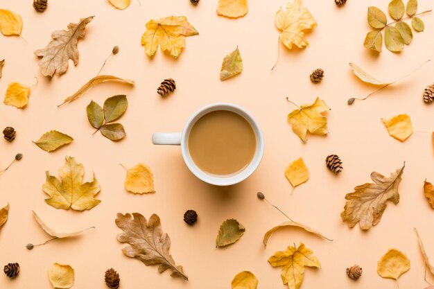 Tazza di cacao con foglie autunnali vista dall'alto di natura morta astratta con spazio di copia