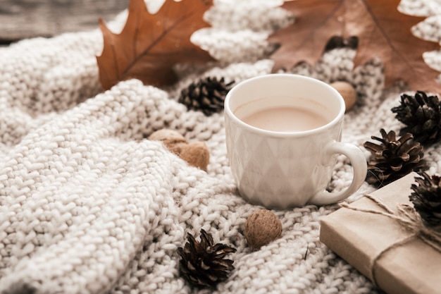 Tazza di cacao, noci, bicchieri, foglie secche autunnali sul maglione