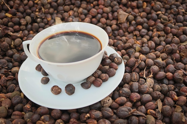 Tazza di caffè calda sul chicco di caffè essiccato, chicco di caffè tostato sullo sfondo, messa a fuoco selettiva. Immagine di concetto.