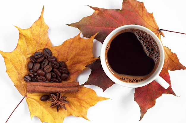 Tazza di caffè caldo e foglie d'acero autunnali su sfondo bianco vista dall'alto