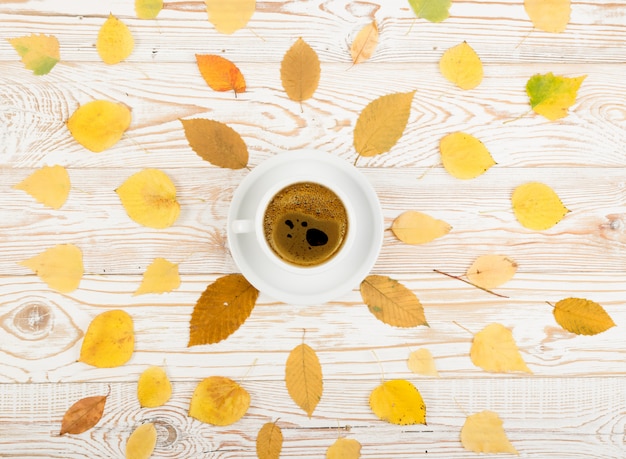 Tazza di caffè circondata da Autumn Tree Leaves