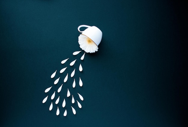 Tazza di caffè con petali di fiori di gerbera bianca su sfondo nero
