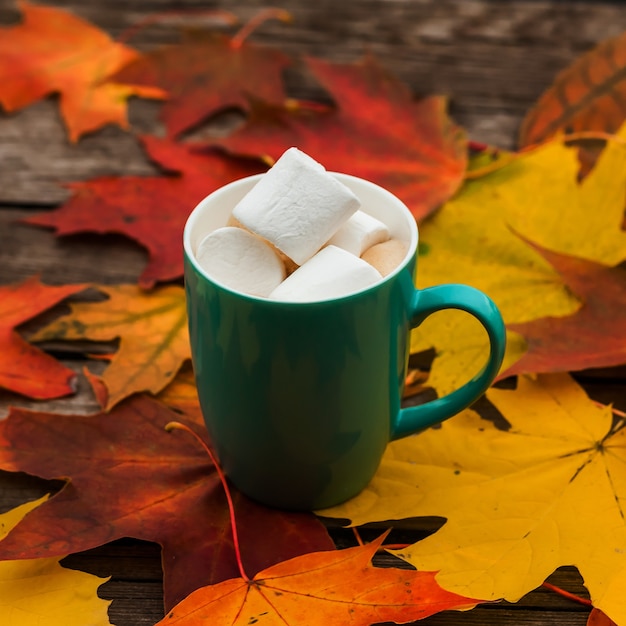 Tazza di caffè di cappuccino e marshmallow foglie d'autunno su vecchie tavole di legno scuro di superficie.