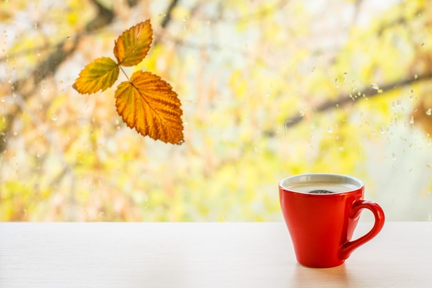 Tazza di caffè e foglia gialla autunnale sul vetro della finestra con gocce d'acqua sullo sfondo sfocato.