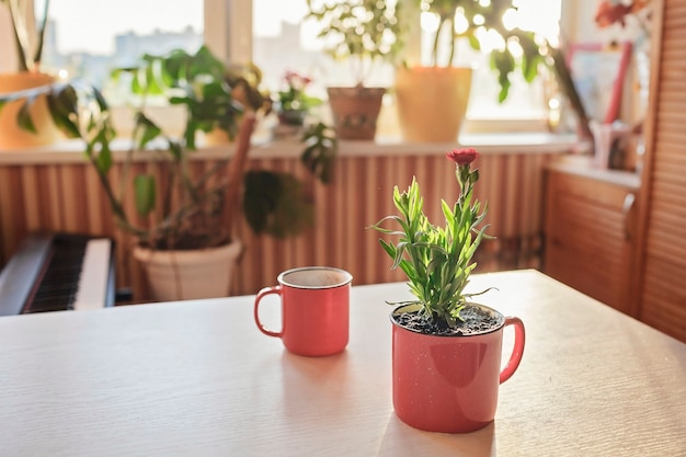 Tazza di caffè e tazza con fiore verde che sboccia sul davanzale della finestra al mattino decorazioni floreali per la casa