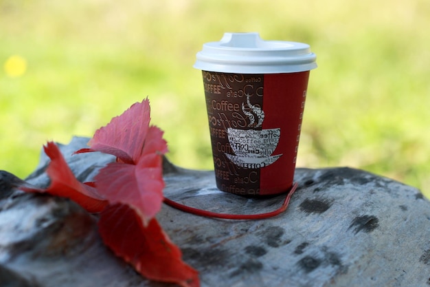 tazza di caffè in natura in autunno