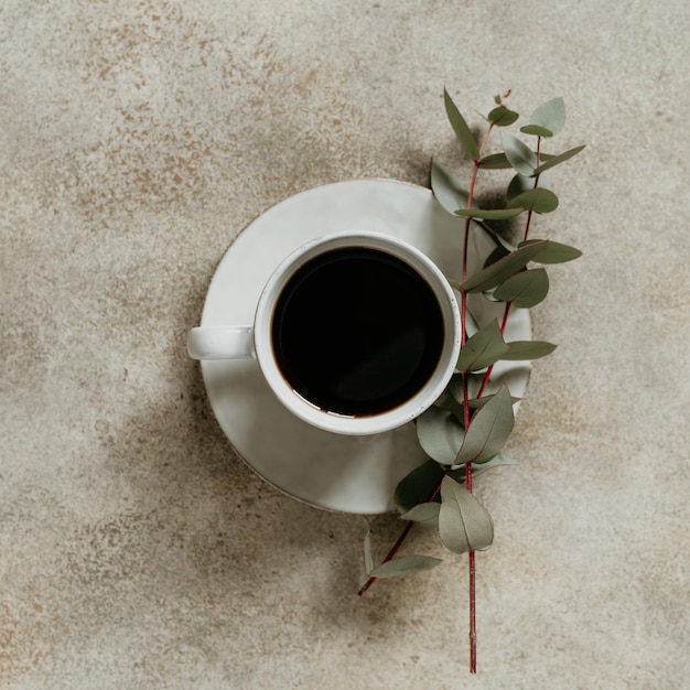 Tazza di caffè nero e rami di eucalipto su uno sfondo beige strutturato