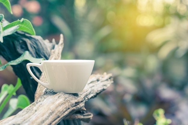 tazza di caffè o tè sul ramo