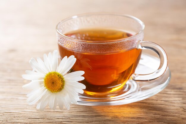 Tazza di camomilla alle erbe con fiori di camomilla freschi