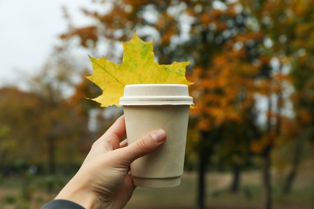 Tazza di carta femminile della stretta della mano sulla sosta di autunno