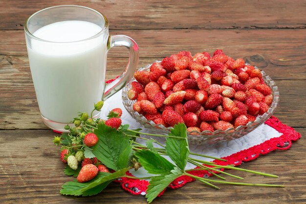 Tazza di latte e un piatto di fragole selvatiche dolci fresche