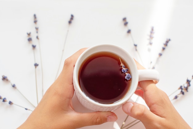 tazza di tè alla lavanda nelle mani