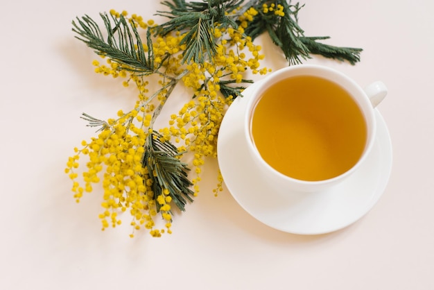 Tazza di tè e fiori di mimosa Sfondo della stagione primaverile Festa della mamma 8 marzo concetto pasqua Prima colazione romantica