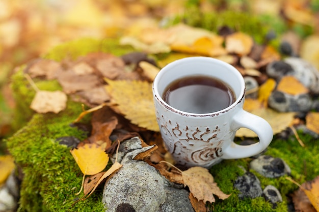 Tazza di tè sul fogliame giallo. Passeggiata nella foresta d'autunno