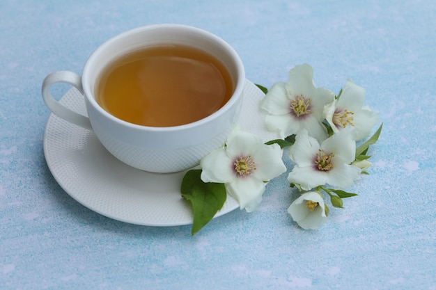 tazza di tisana con fiori di gelsomino su sfondo blu