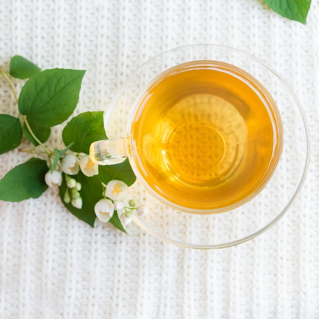 Tazza di tisana con fiori di gelsomino