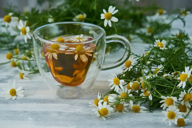 Tazza di tisana naturale, con fiori di camomilla su grigio