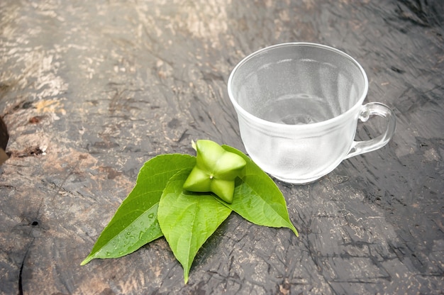 Tazza di vetro trasparente di semi di Plukenetia volubilis