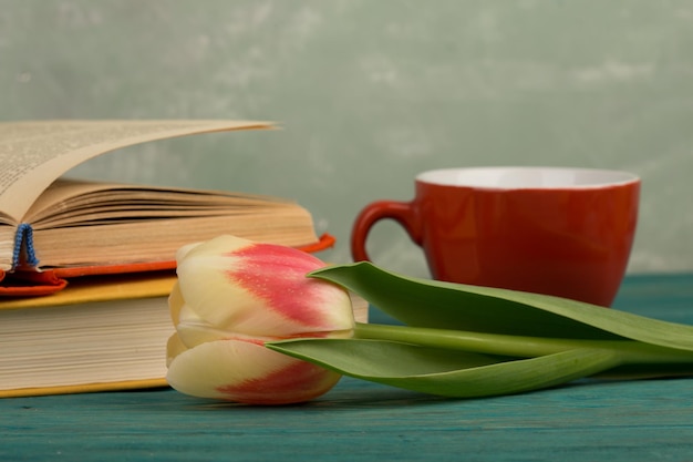 Tazza e libri del tulipano del fiore