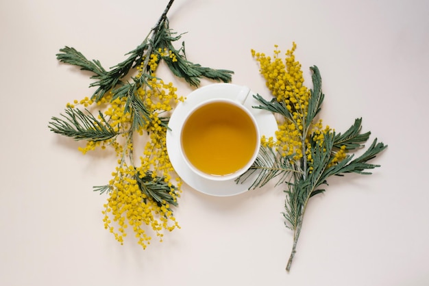 Tazza in porcellana bianca con tè verde con bouquet di mimosa alla luce del sole su sfondo beige